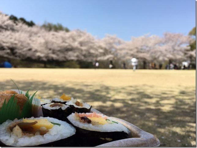 巻きずし、いなりずし、かんぴょう巻きの入った弁当のアップとモザイク桜並木の写真